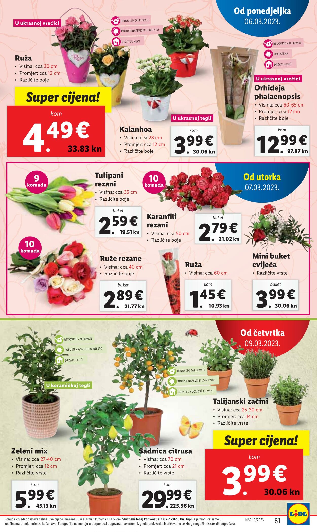 Katalog Lidl 06.03.2023 - 12.03.2023