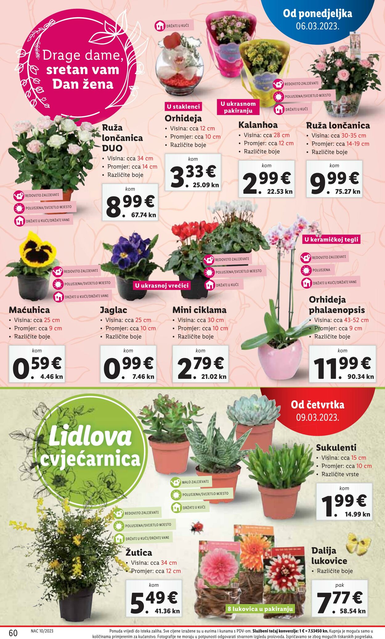 Katalog Lidl 06.03.2023 - 12.03.2023