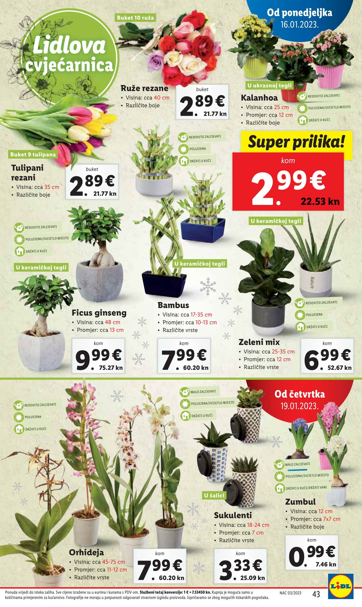 Katalog Lidl 16.01.2023 - 22.01.2023