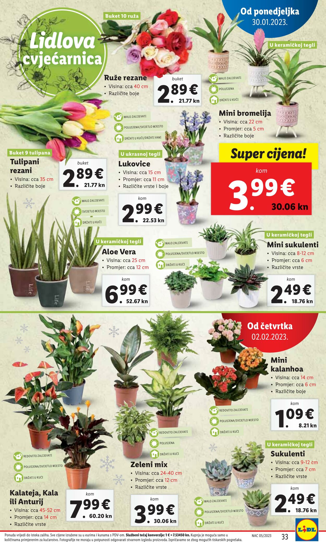 Katalog Lidl 30.01.2023 - 05.02.2023