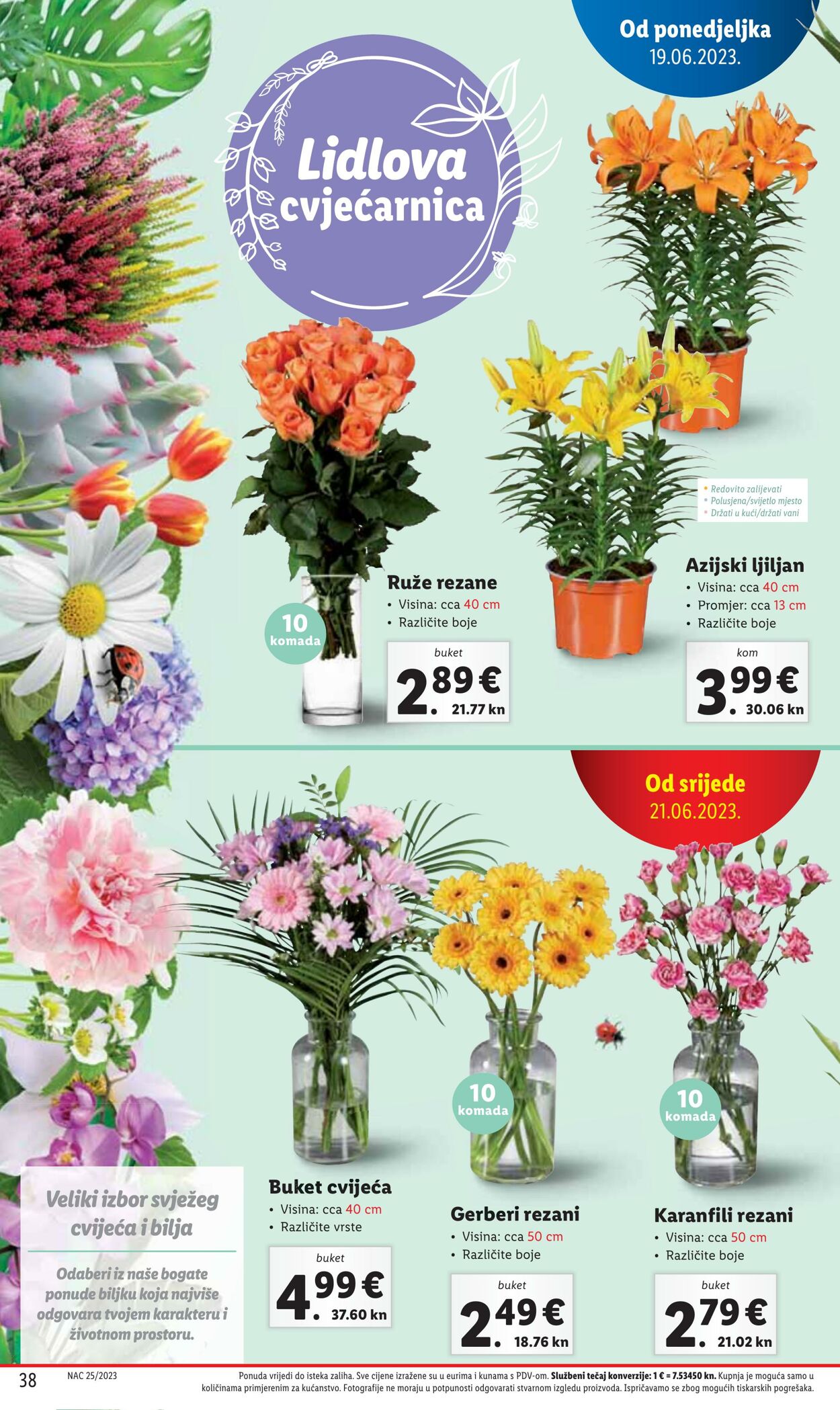 Katalog Lidl 19.06.2023 - 25.06.2023