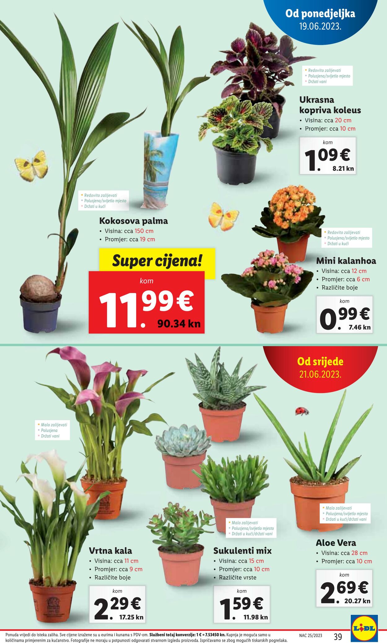 Katalog Lidl 19.06.2023 - 25.06.2023