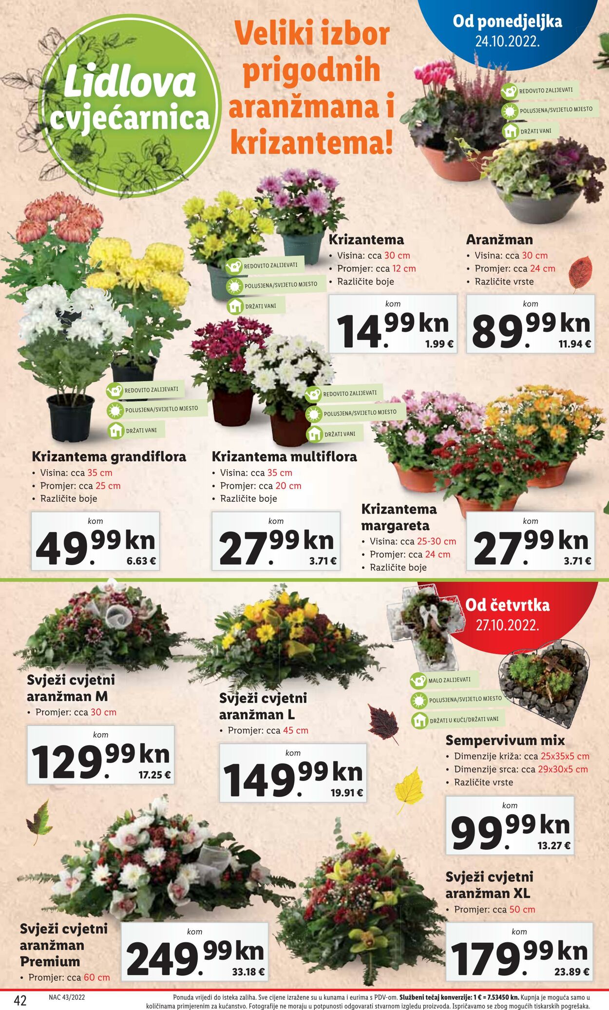 Katalog Lidl 24.10.2022 - 30.10.2022