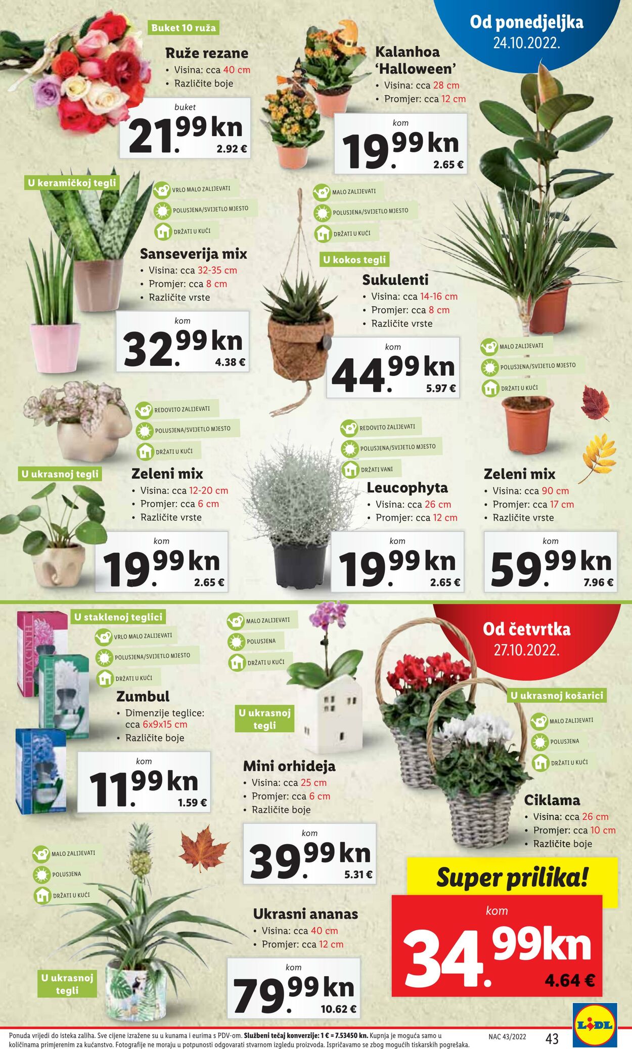 Katalog Lidl 24.10.2022 - 30.10.2022