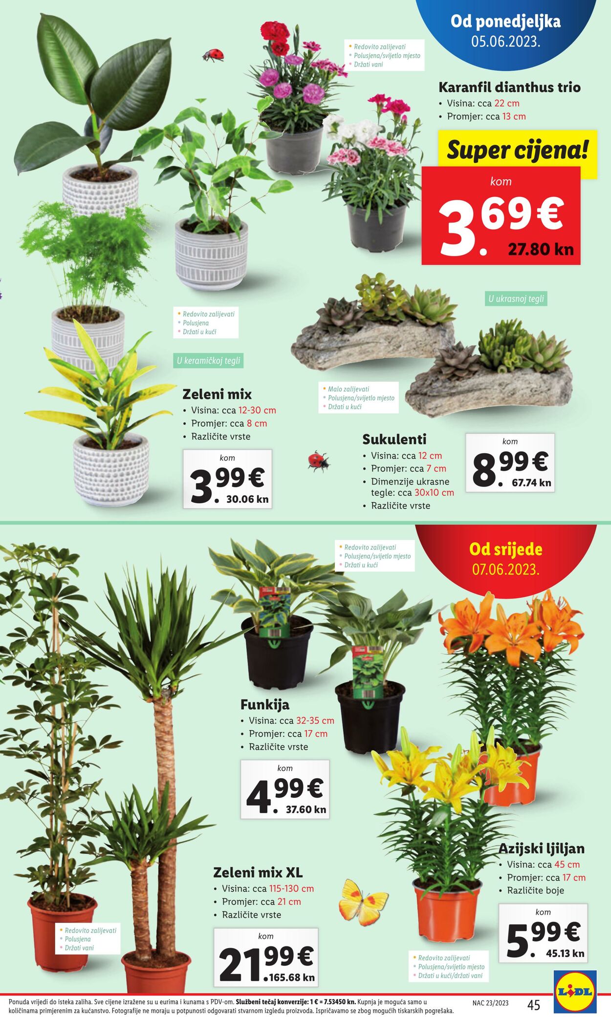 Katalog Lidl 05.06.2023 - 11.06.2023