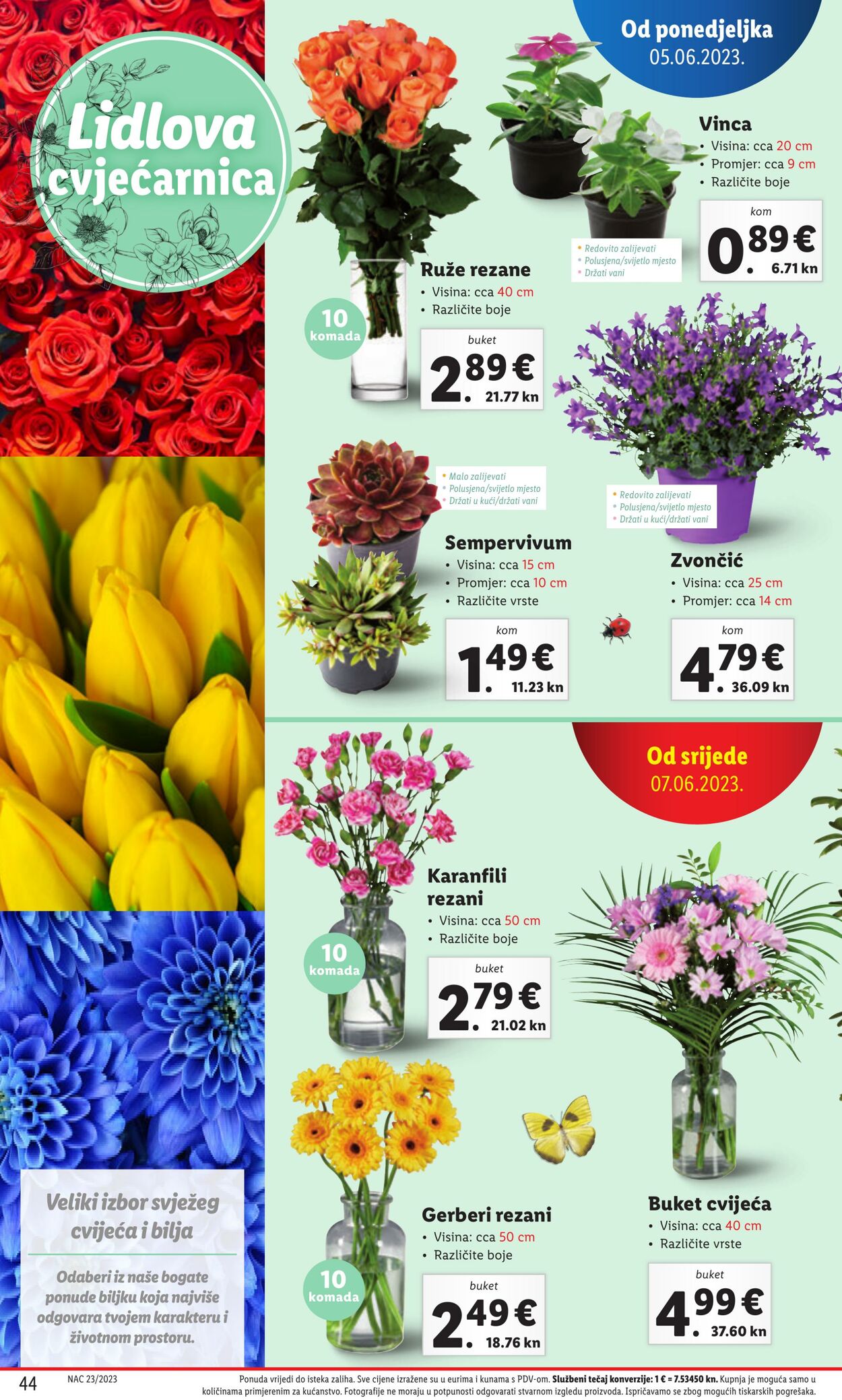 Katalog Lidl 05.06.2023 - 11.06.2023