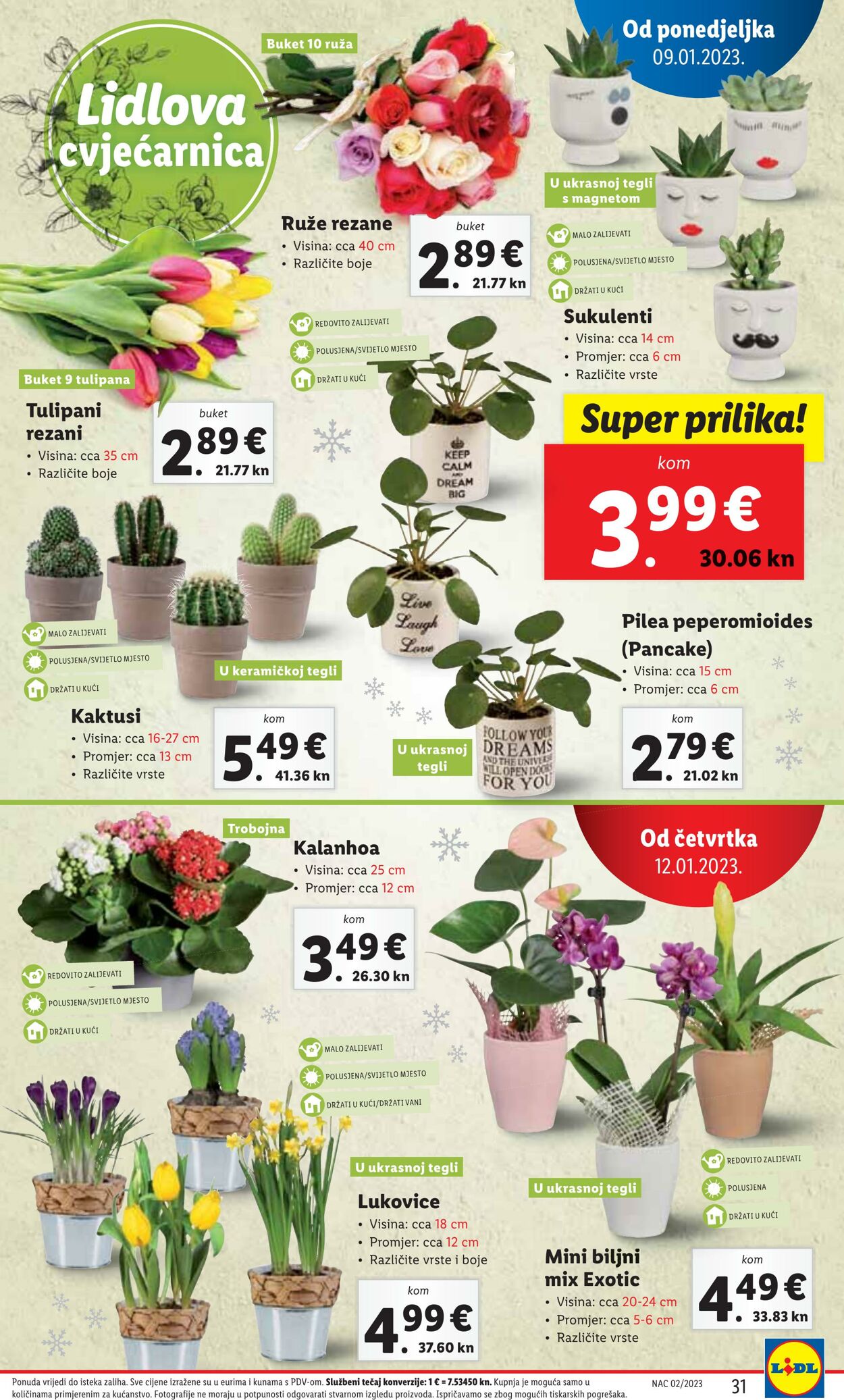 Katalog Lidl 09.01.2023 - 15.01.2023