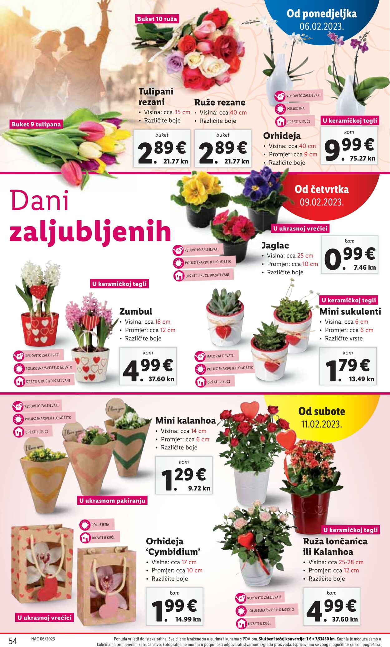 Katalog Lidl 06.02.2023 - 12.02.2023