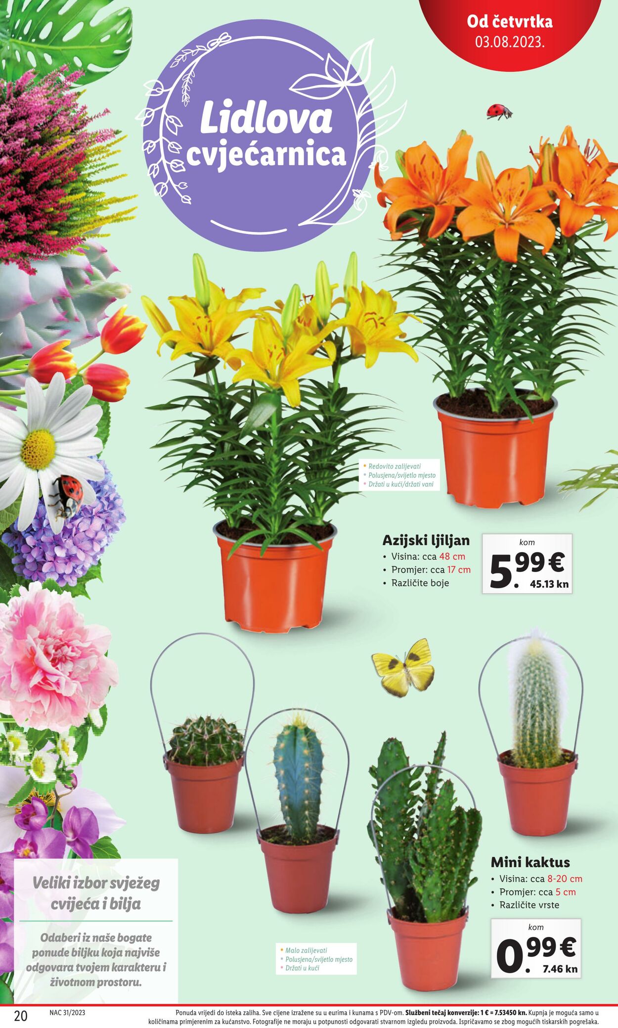 Katalog Lidl 03.08.2023 - 06.08.2023