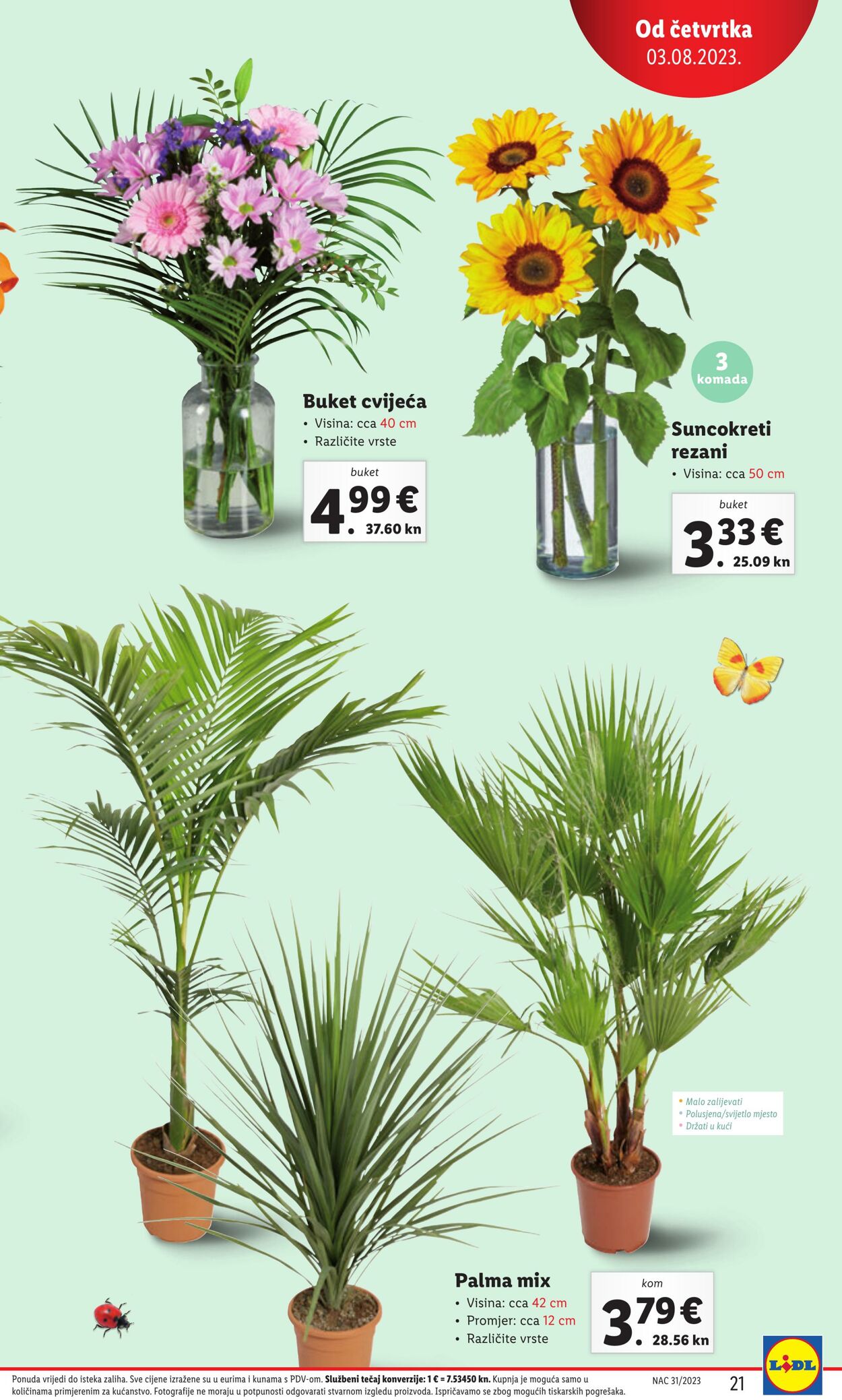 Katalog Lidl 03.08.2023 - 06.08.2023