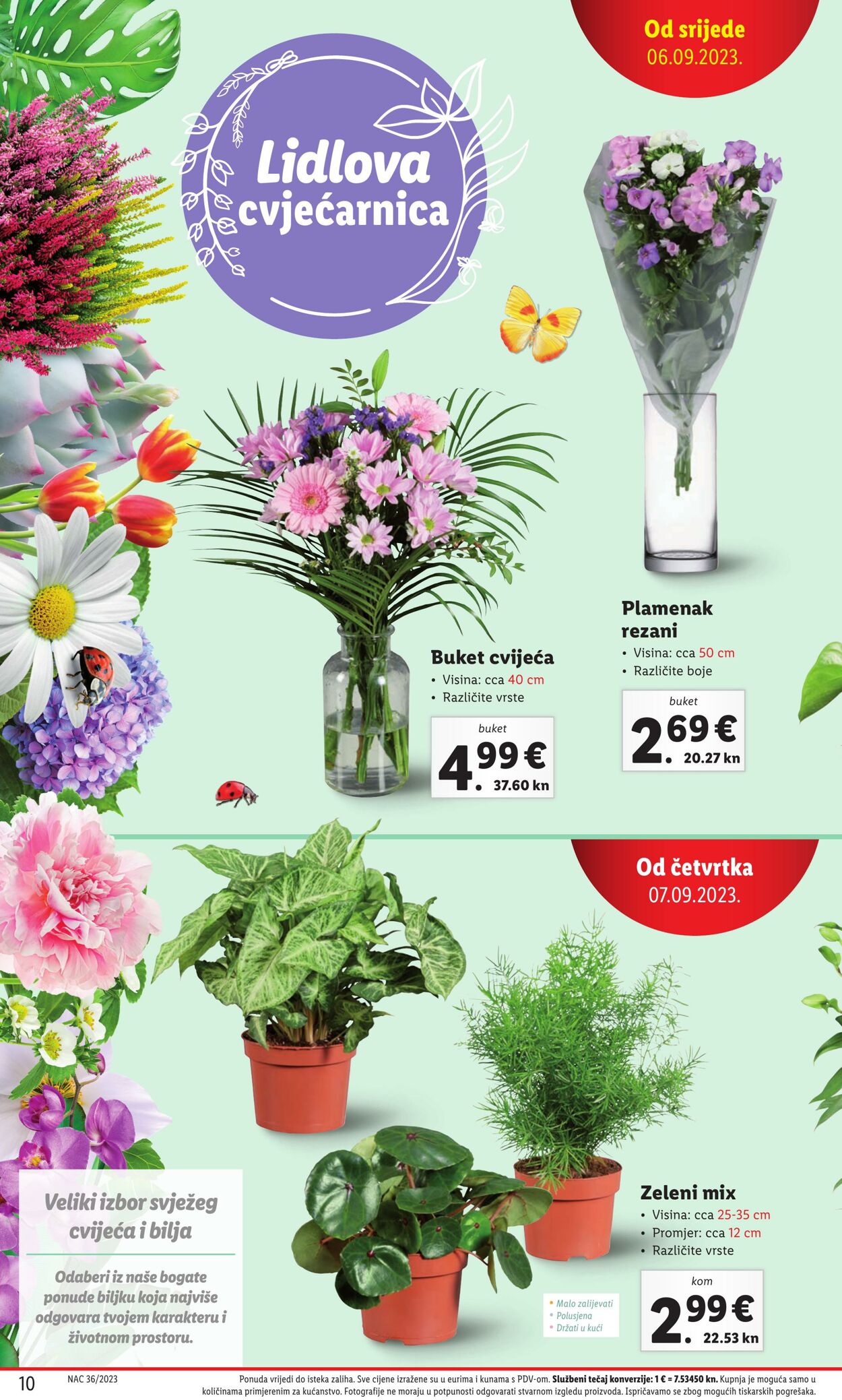 Katalog Lidl 07.09.2023 - 10.09.2023