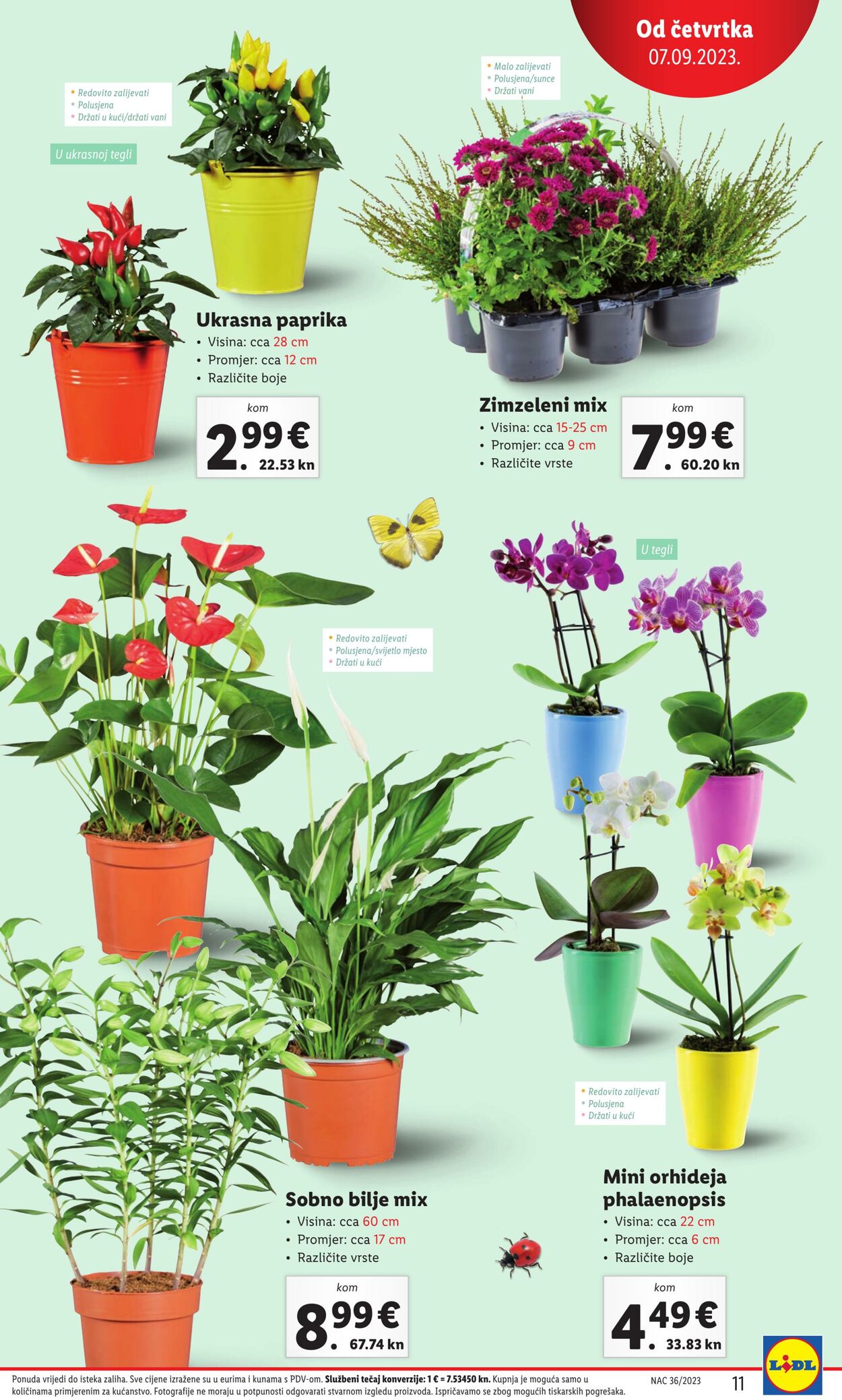 Katalog Lidl 07.09.2023 - 10.09.2023