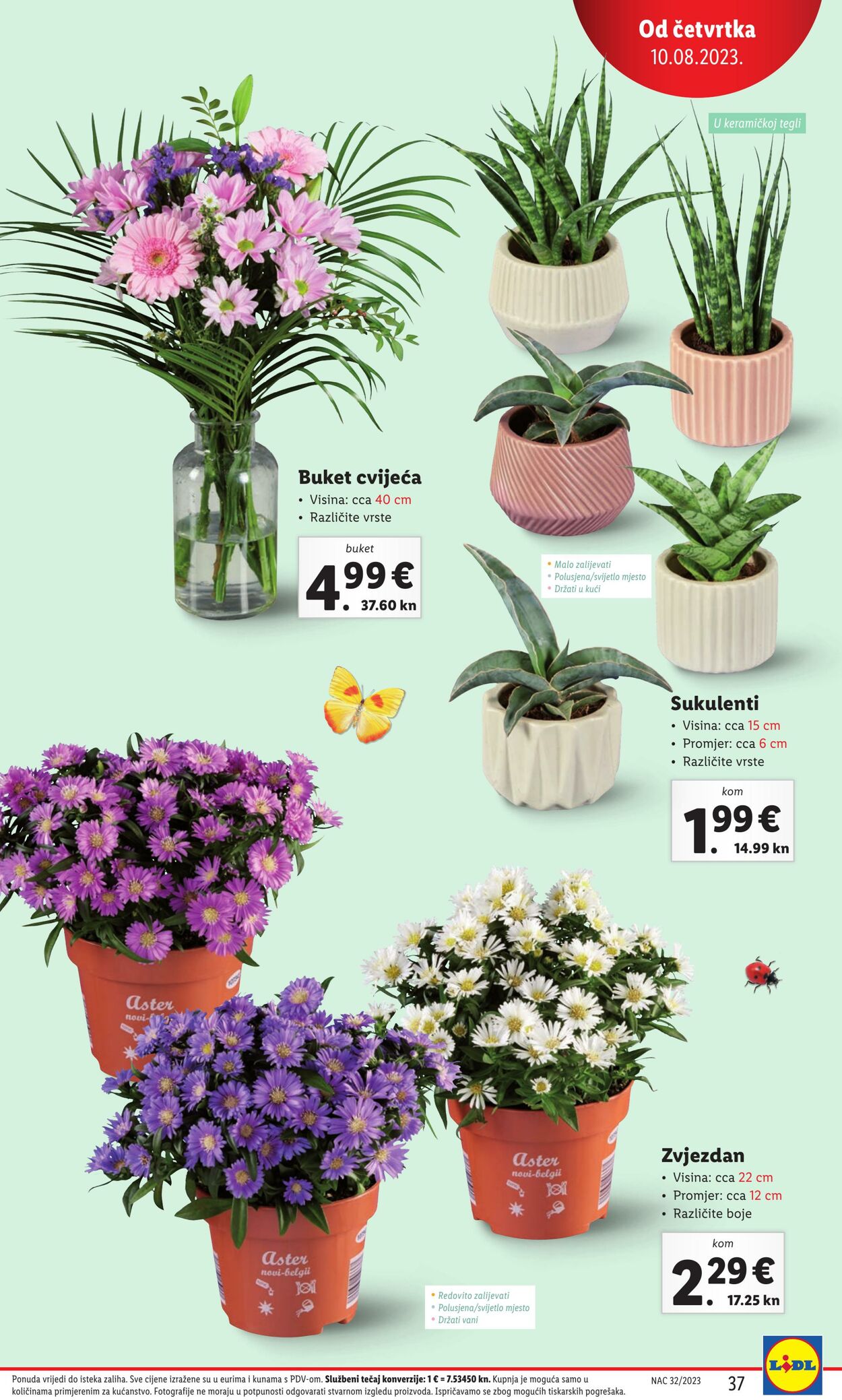 Katalog Lidl 10.08.2023 - 14.08.2023