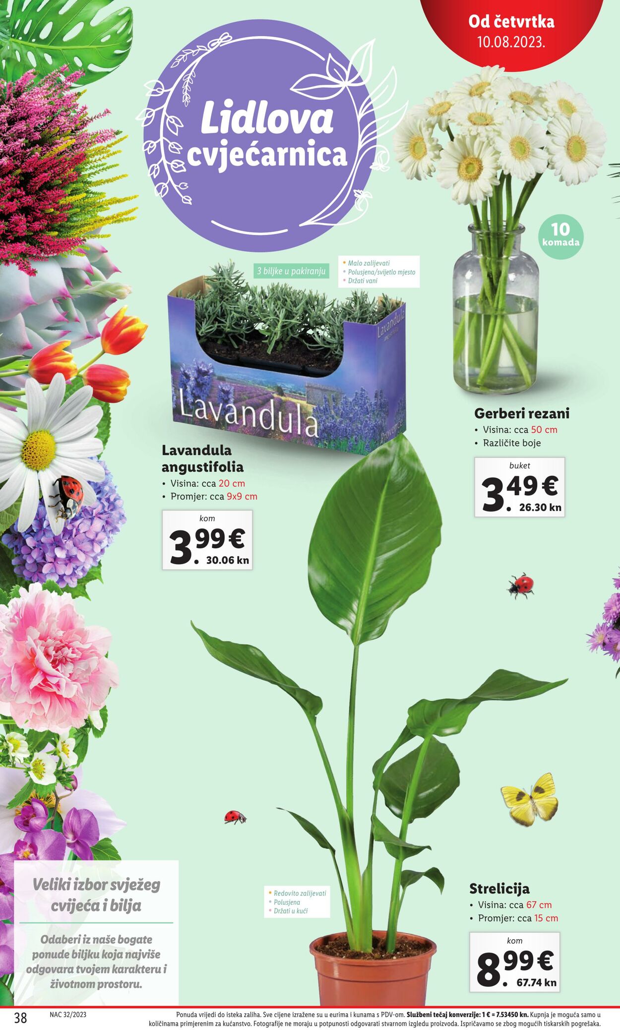 Katalog Lidl 10.08.2023 - 14.08.2023