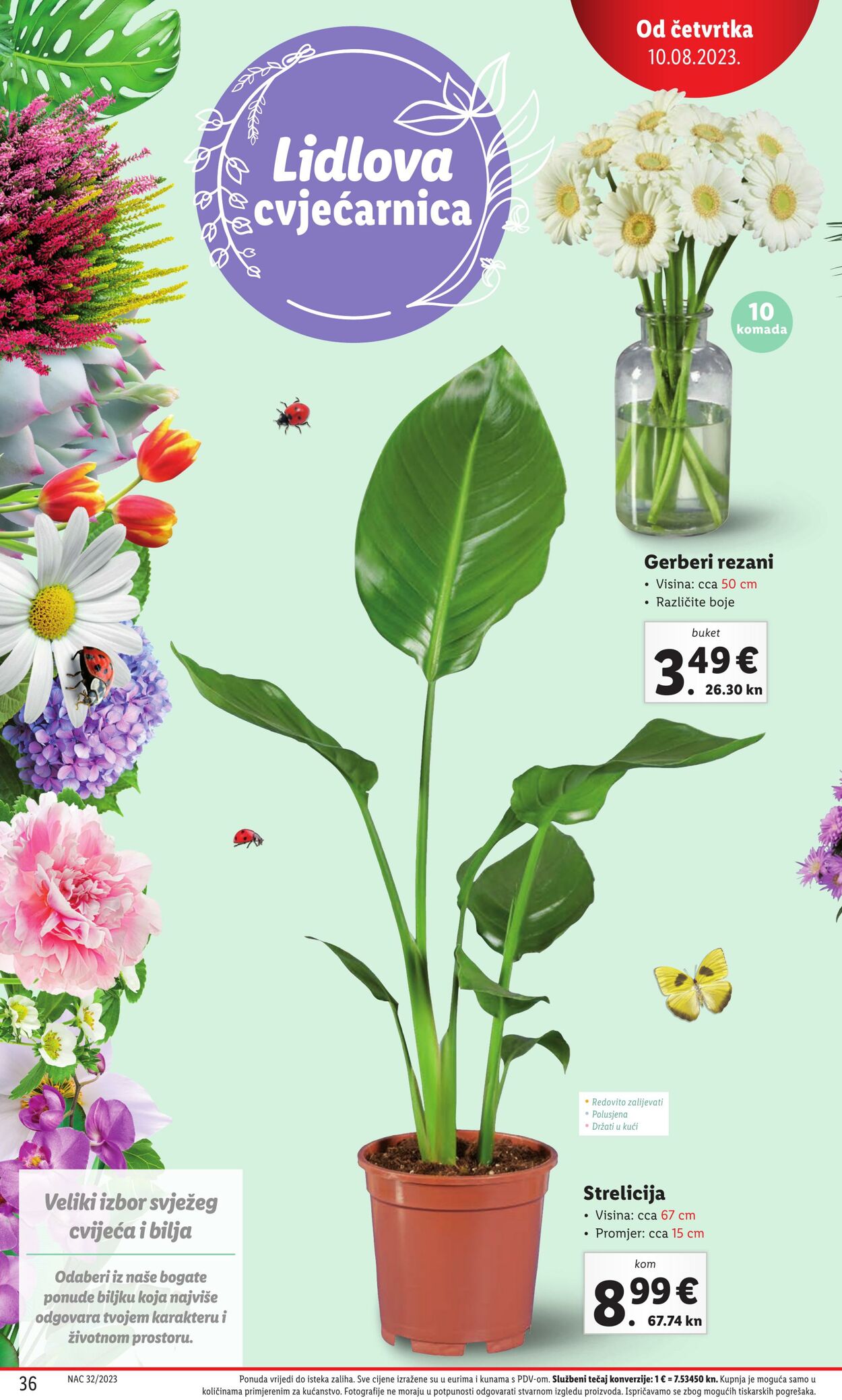 Katalog Lidl 10.08.2023 - 14.08.2023