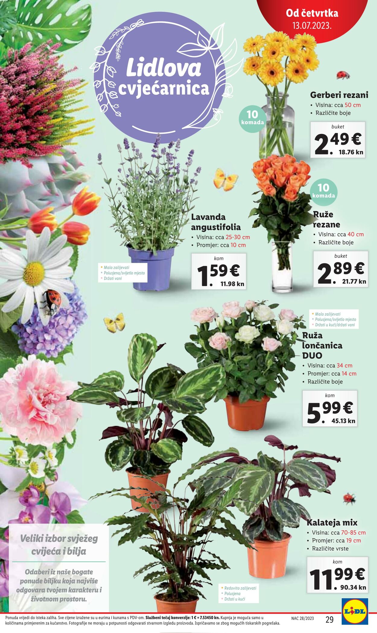 Katalog Lidl 13.07.2023 - 16.07.2023