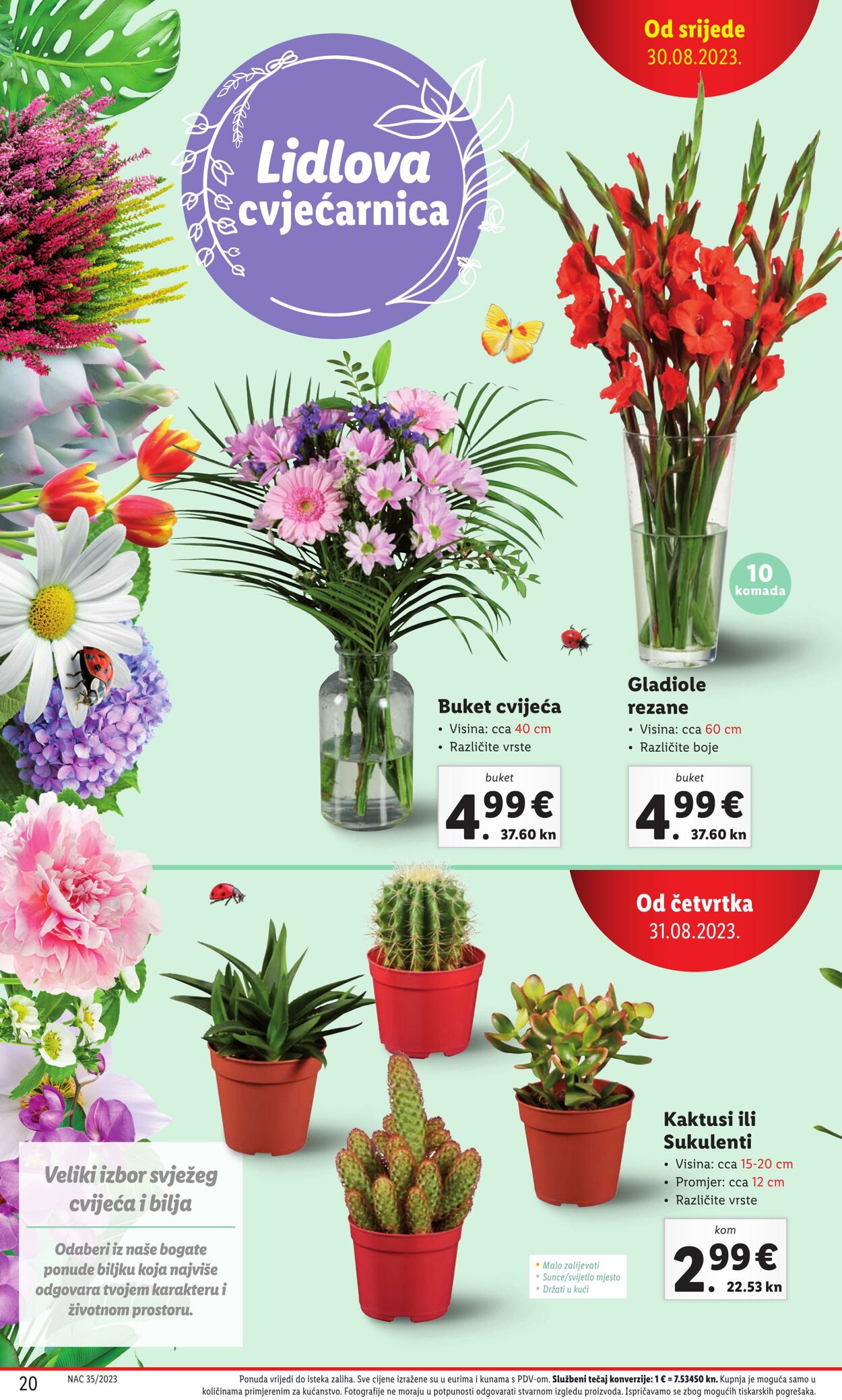 Katalog Lidl 31.08.2023 - 03.09.2023