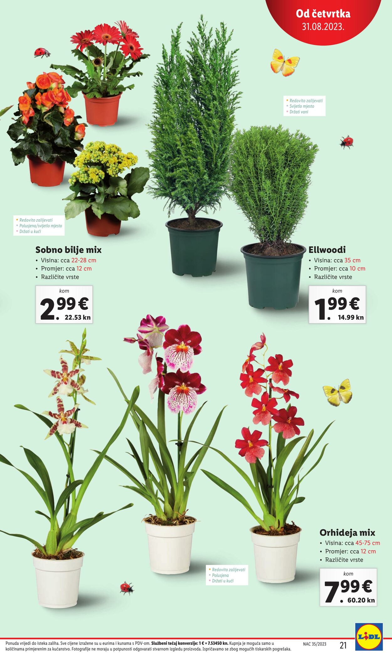 Katalog Lidl 31.08.2023 - 03.09.2023