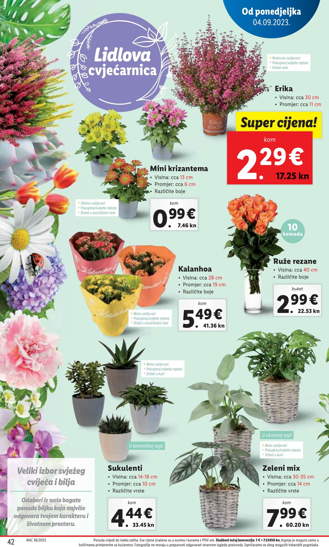 Katalog Lidl 04.09.2023 - 10.09.2023