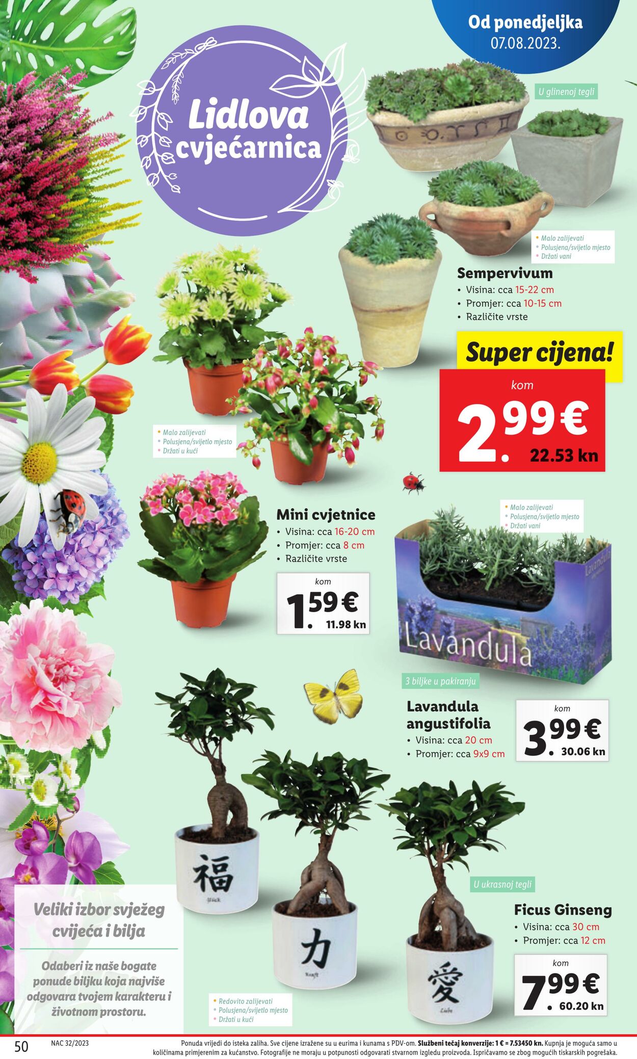 Katalog Lidl 07.08.2023 - 14.08.2023