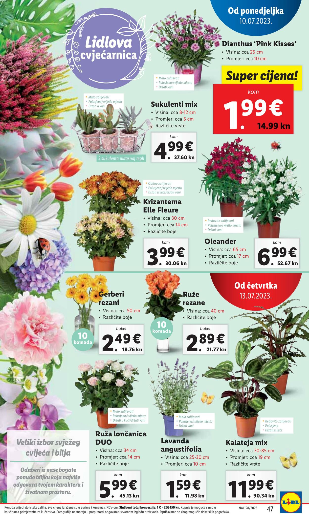 Katalog Lidl 10.07.2023 - 16.07.2023