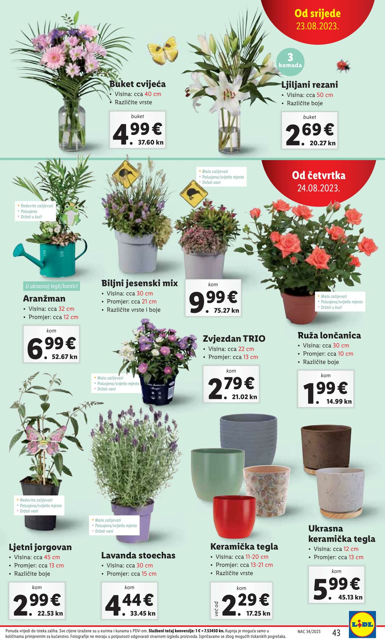 Katalog Lidl 21.08.2023 - 27.08.2023