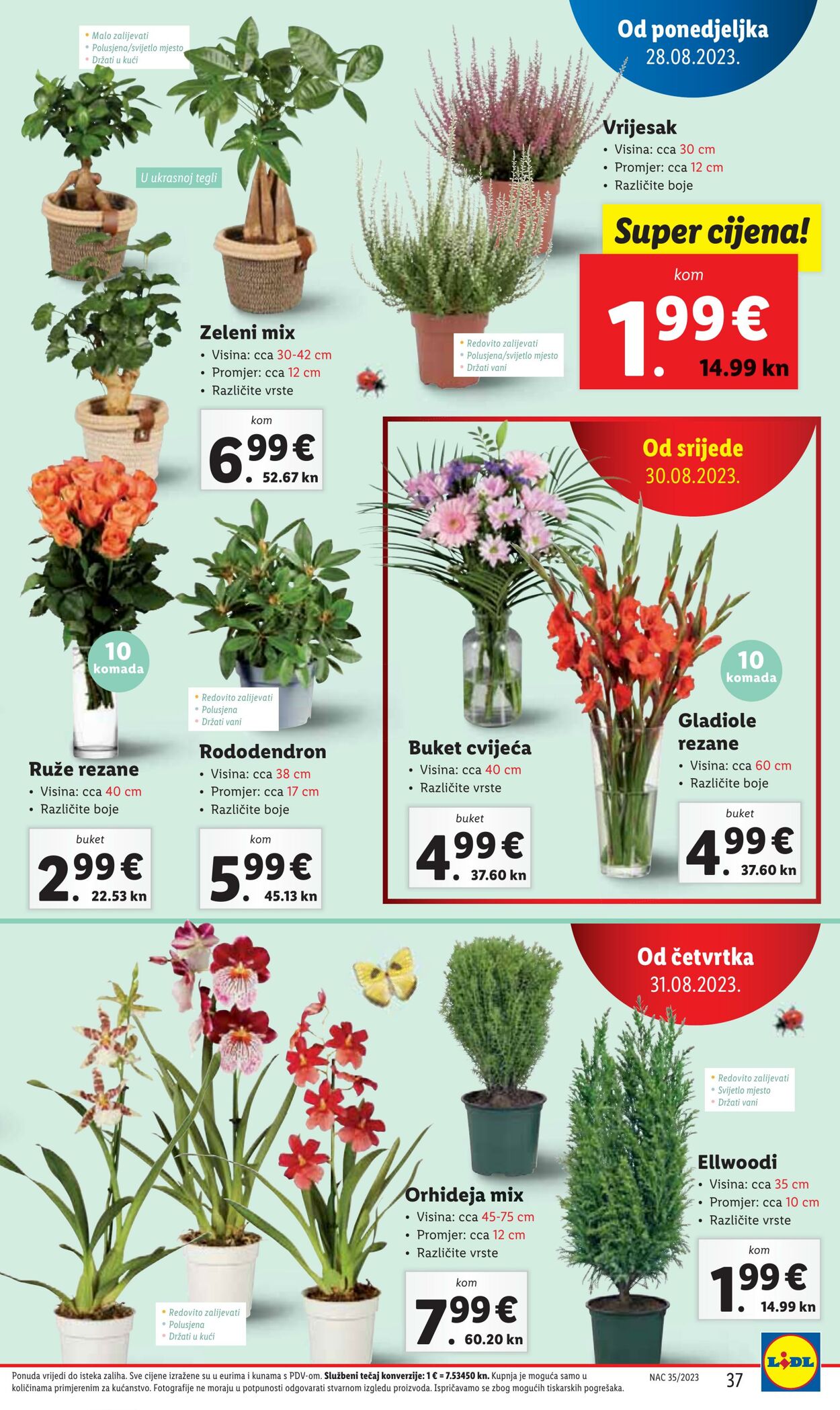 Katalog Lidl 28.08.2023 - 03.09.2023