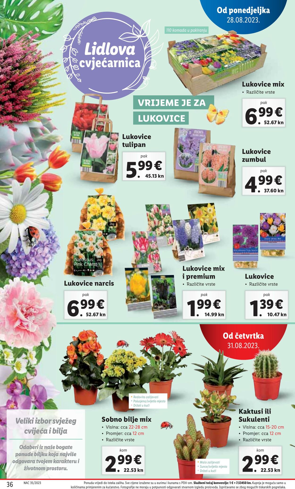 Katalog Lidl 28.08.2023 - 03.09.2023