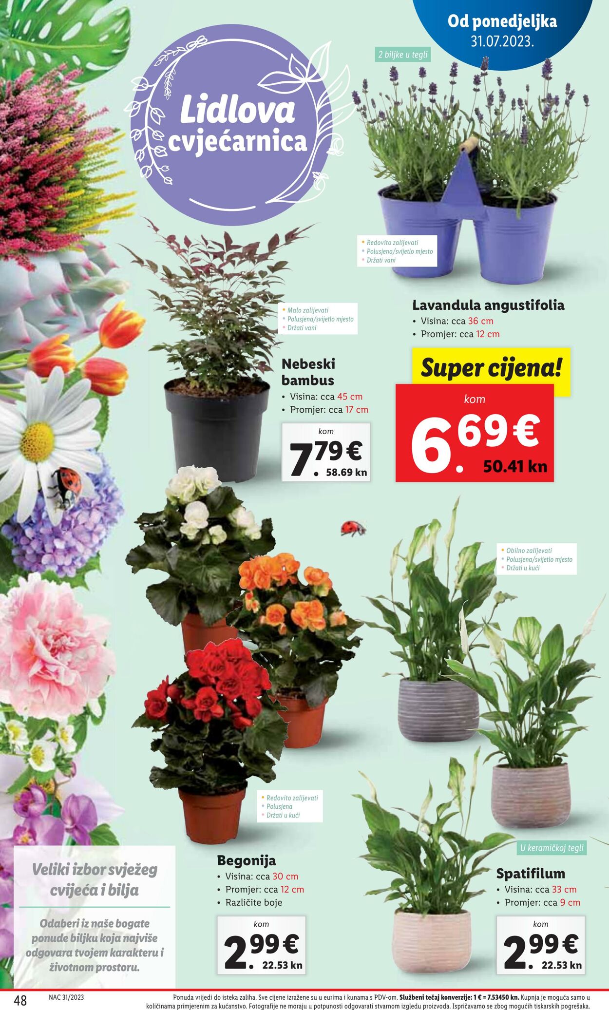 Katalog Lidl 31.07.2023 - 06.08.2023