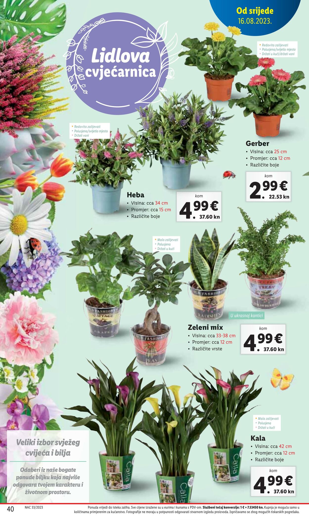 Katalog Lidl 16.08.2023 - 20.08.2023