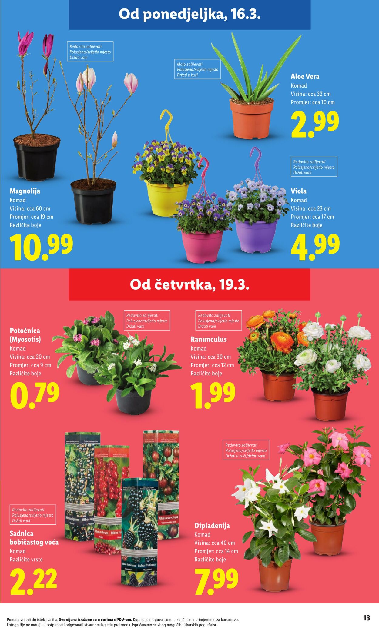 Katalog Lidl 23.03.2026 - 31.03.2026
