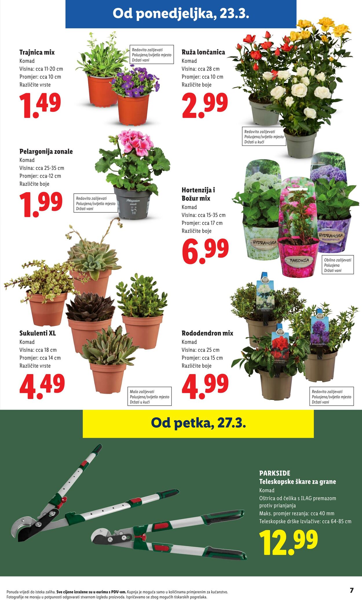 Katalog Lidl 23.03.2026 - 31.03.2026