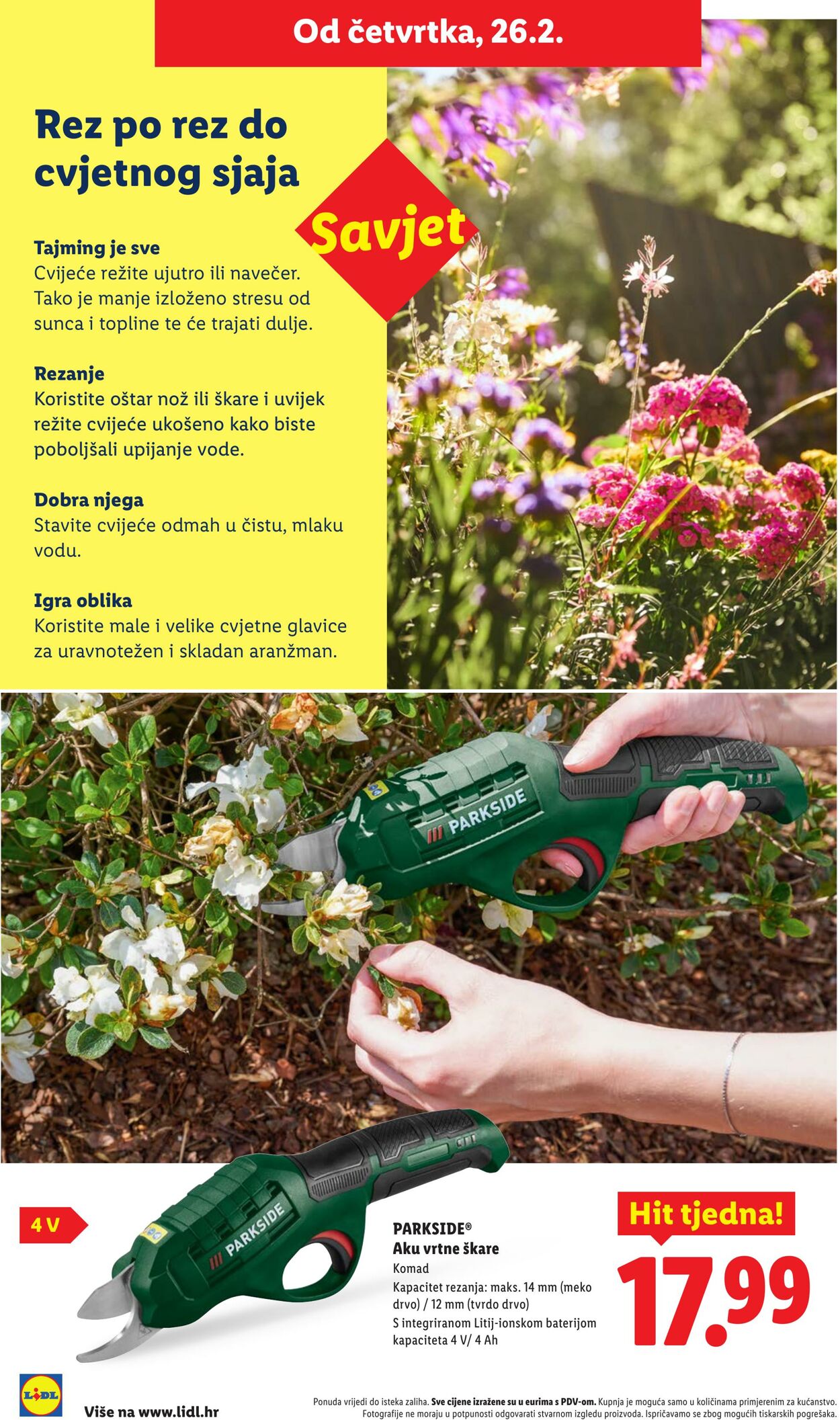 Katalog Lidl 26.02.2026 - 06.03.2026