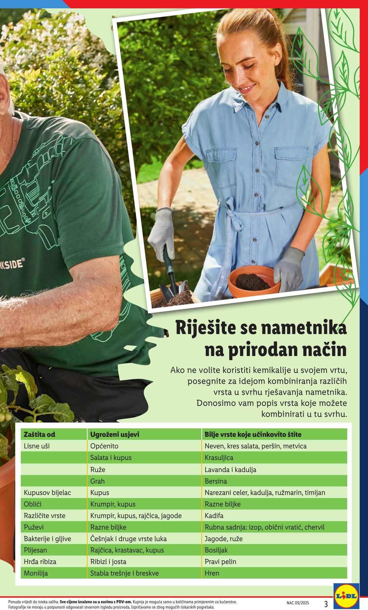 Katalog Lidl 18.05.2025 - 01.06.2025
