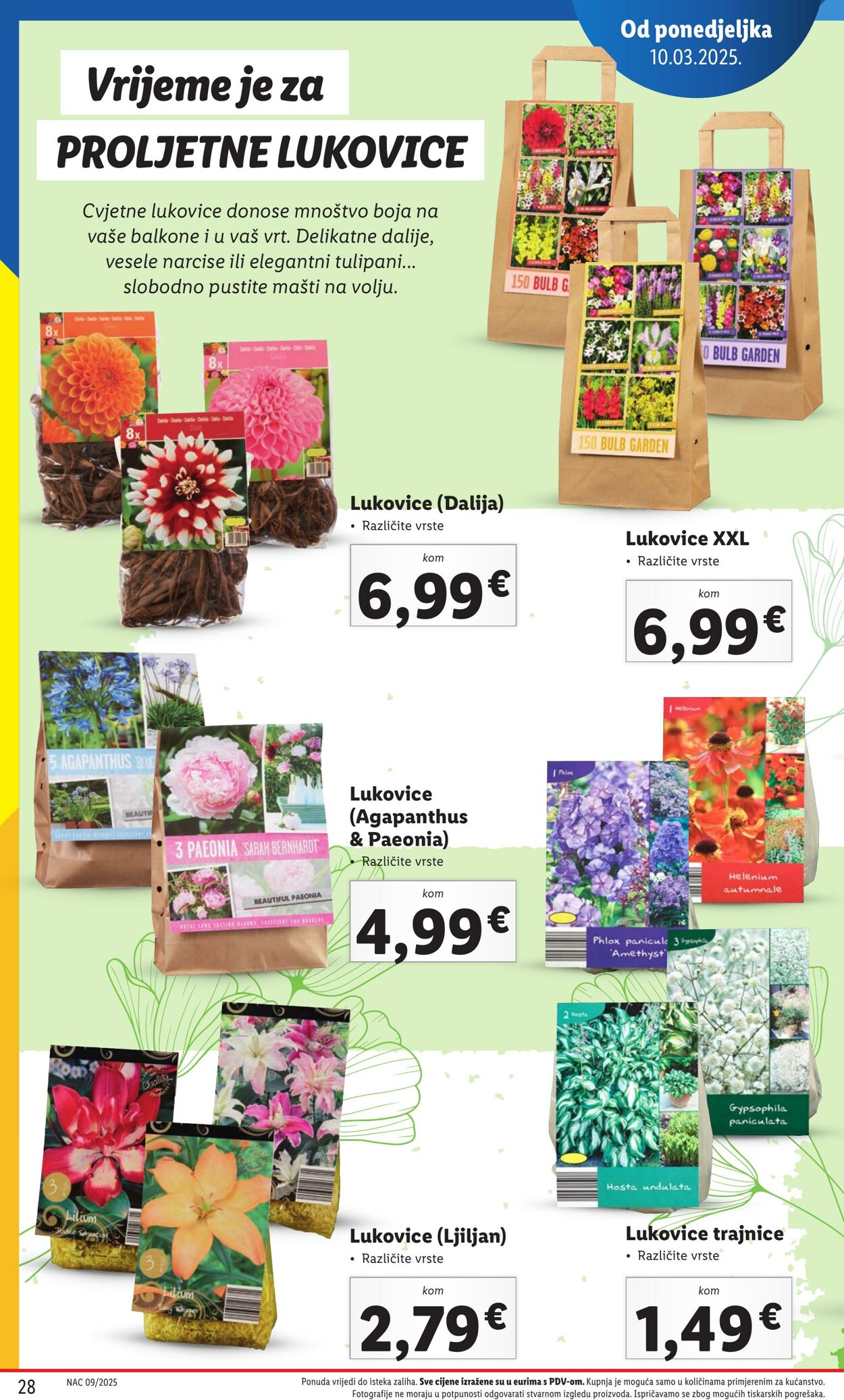 Katalog Lidl 18.05.2025 - 01.06.2025