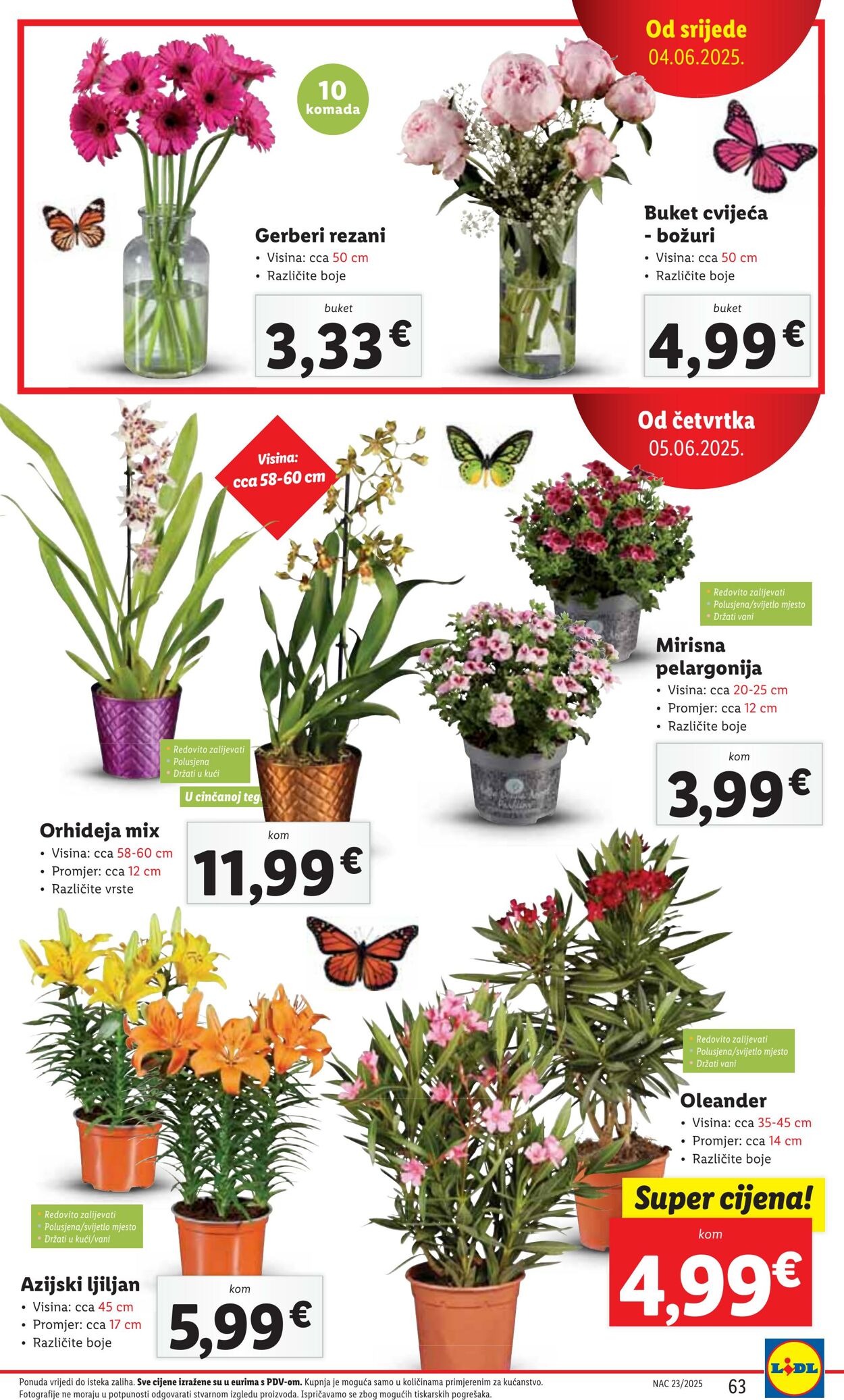 Katalog Lidl 03.06.2025 - 17.06.2025
