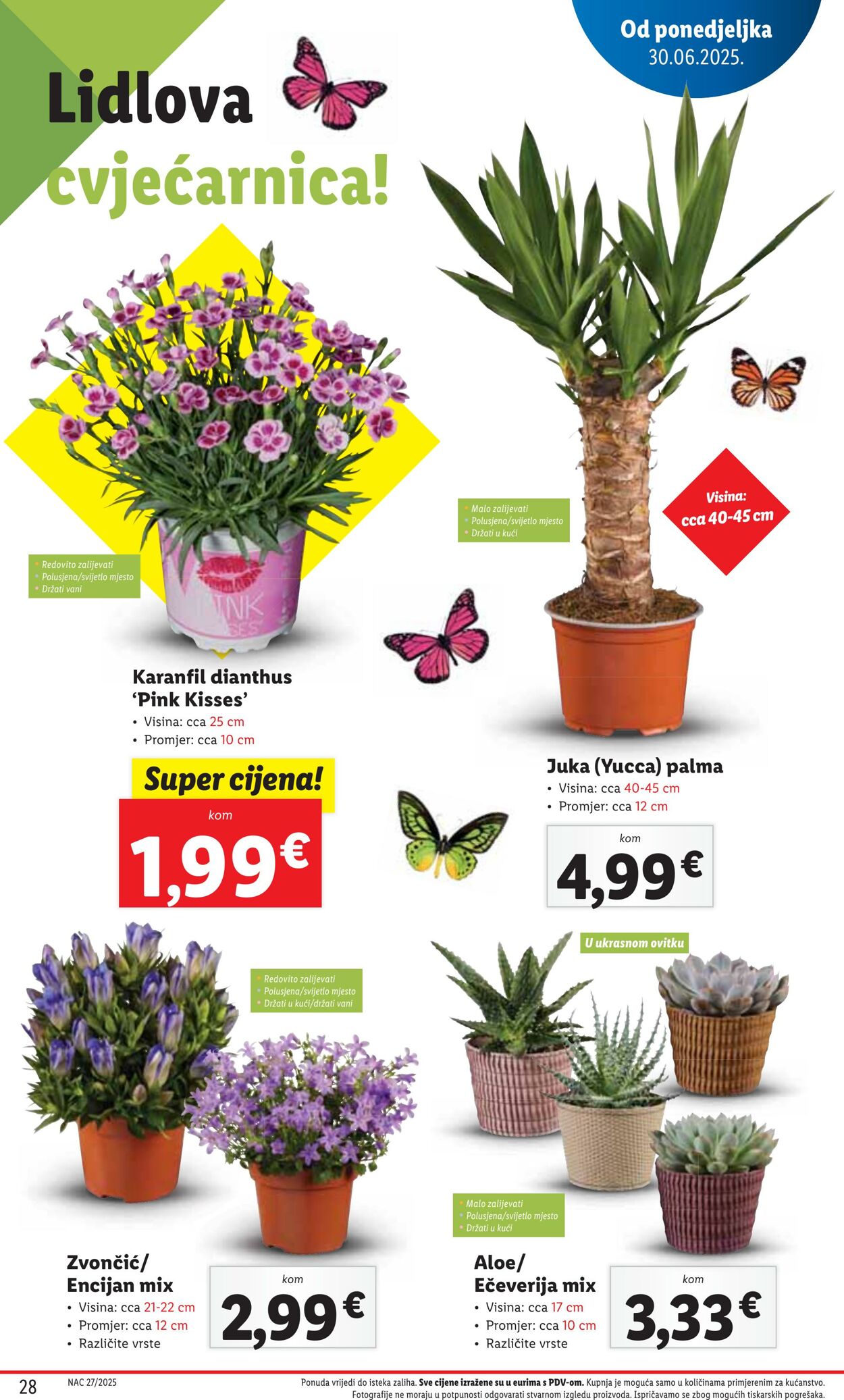 Katalog Lidl 04.07.2025 - 18.07.2025