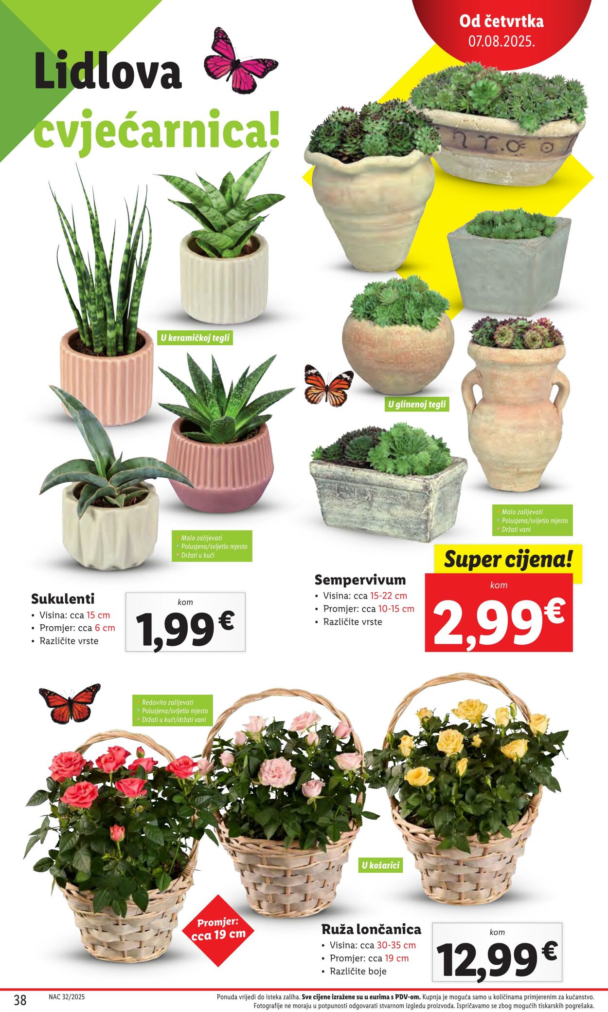 Katalog Lidl 31.07.2025 - 07.08.2025
