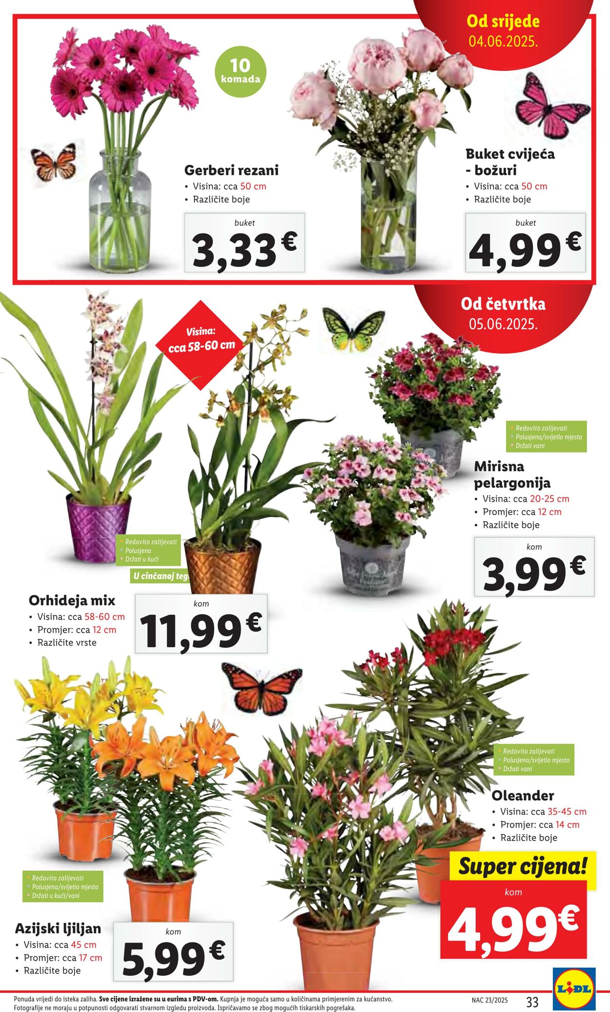 Katalog Lidl 09.06.2025 - 23.06.2025