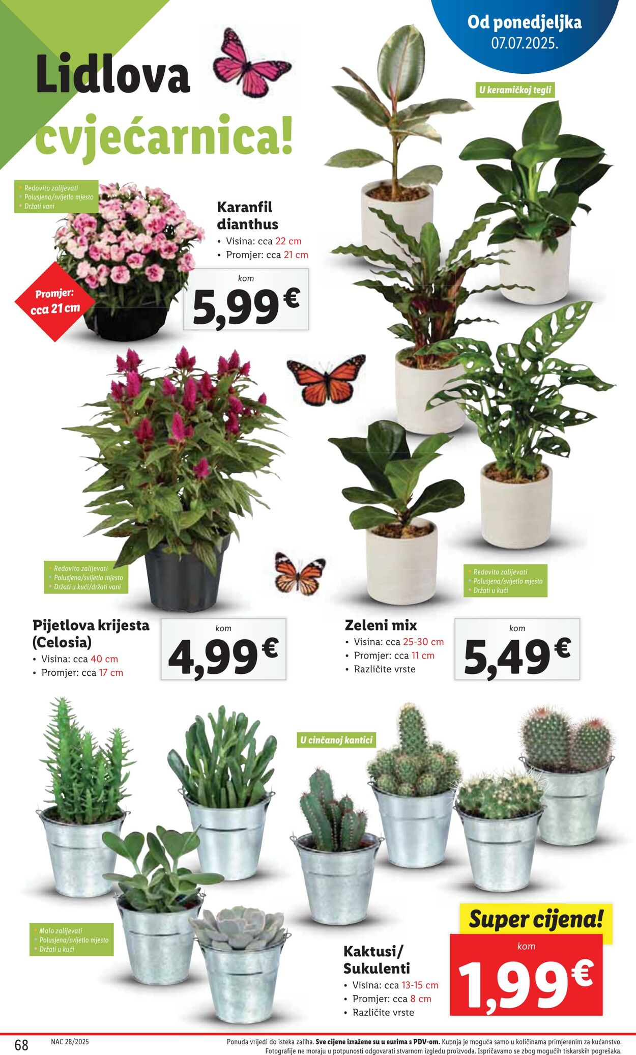 Katalog Lidl 09.07.2025 - 23.07.2025