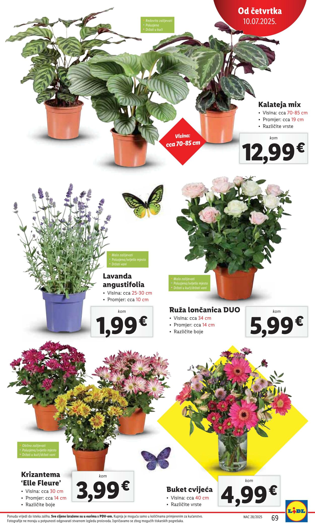 Katalog Lidl 09.07.2025 - 23.07.2025
