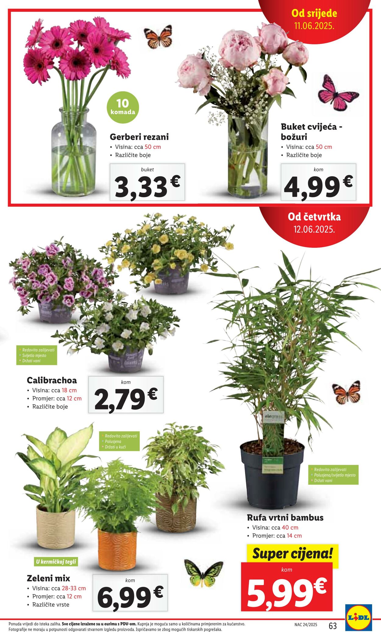Katalog Lidl 05.06.2025 - 19.06.2025