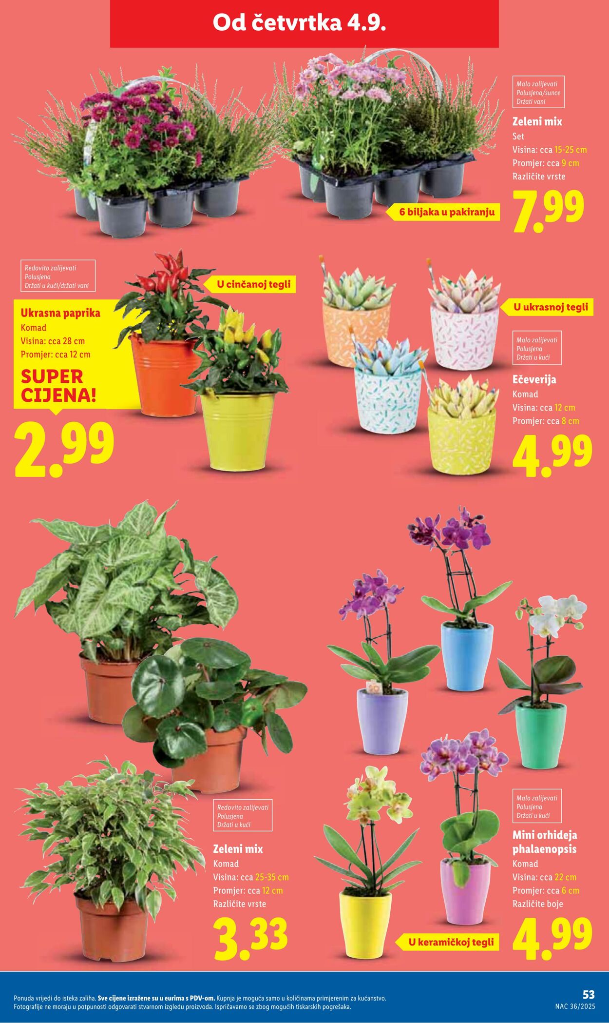 Katalog Lidl 03.09.2025 - 17.09.2025