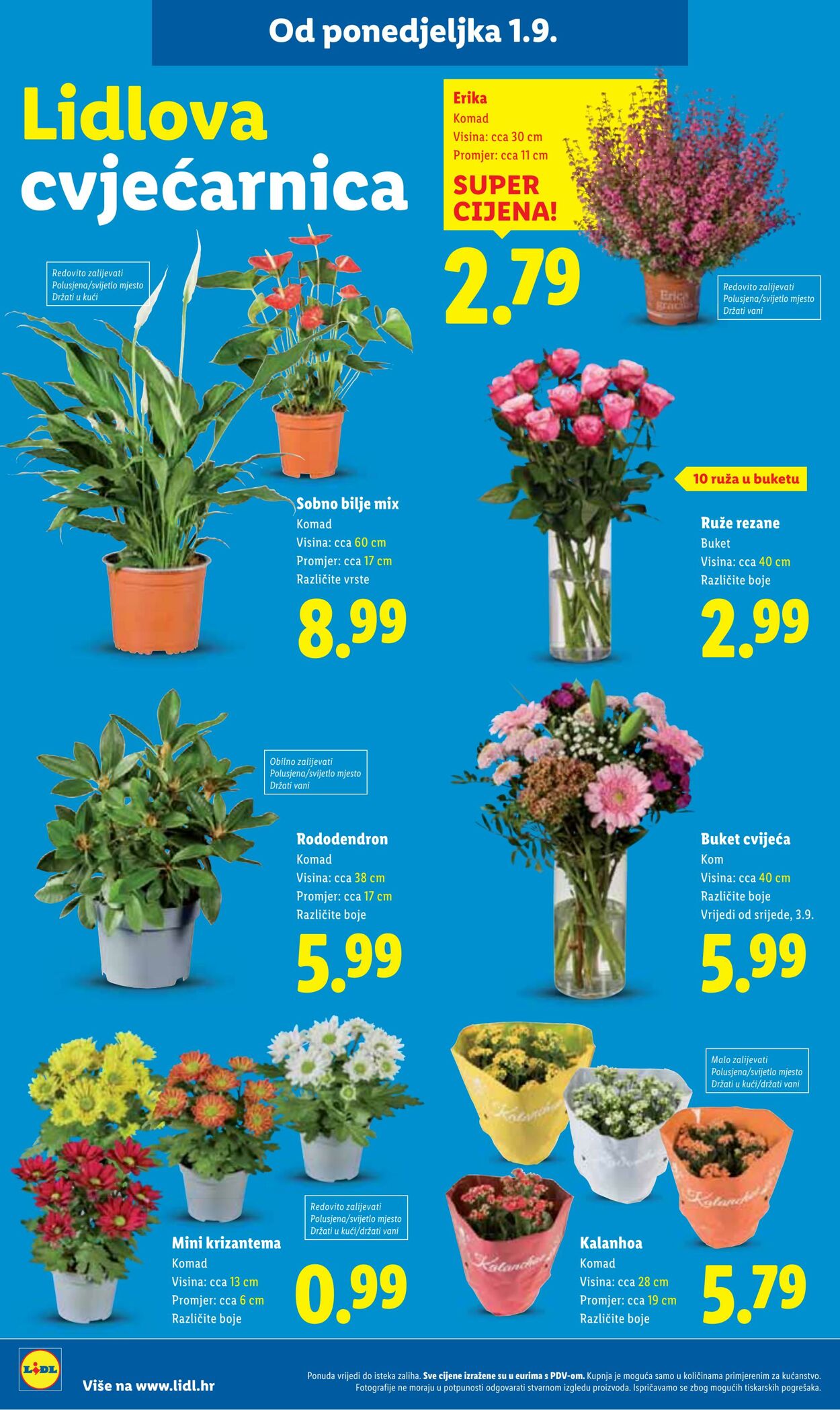 Katalog Lidl 01.09.2025 - 15.09.2025