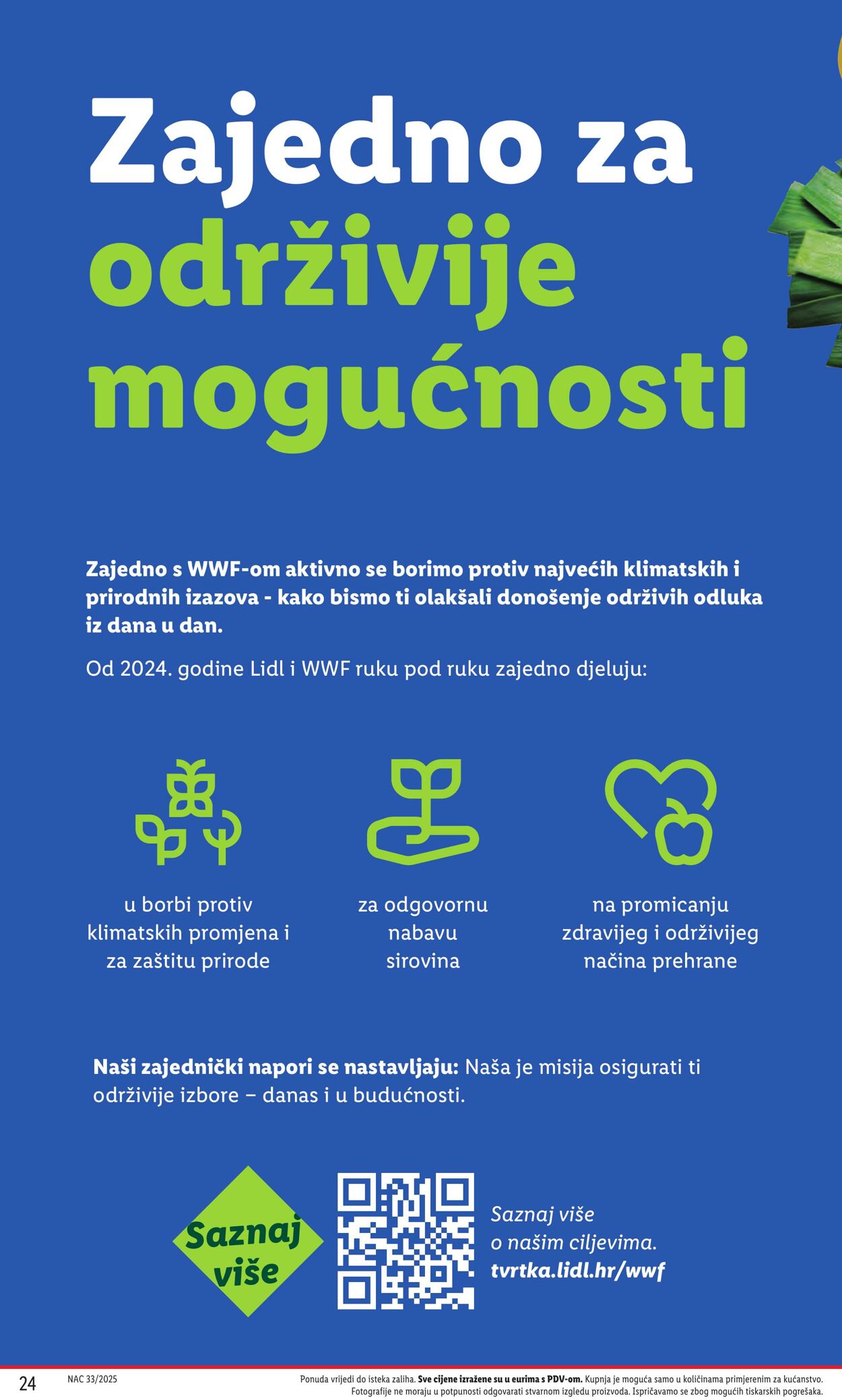 Katalog Lidl 12.08.2025 - 26.08.2025