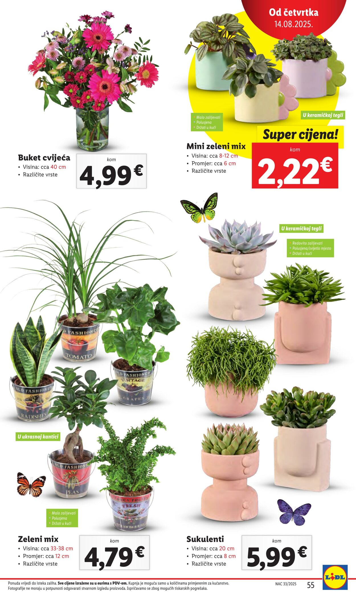 Katalog Lidl 14.08.2025 - 28.08.2025