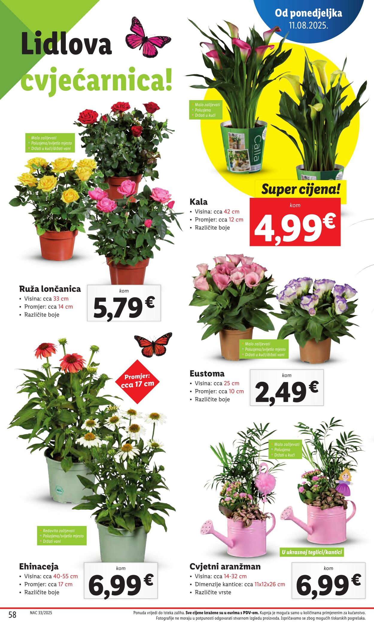 Katalog Lidl 07.08.2025 - 21.08.2025