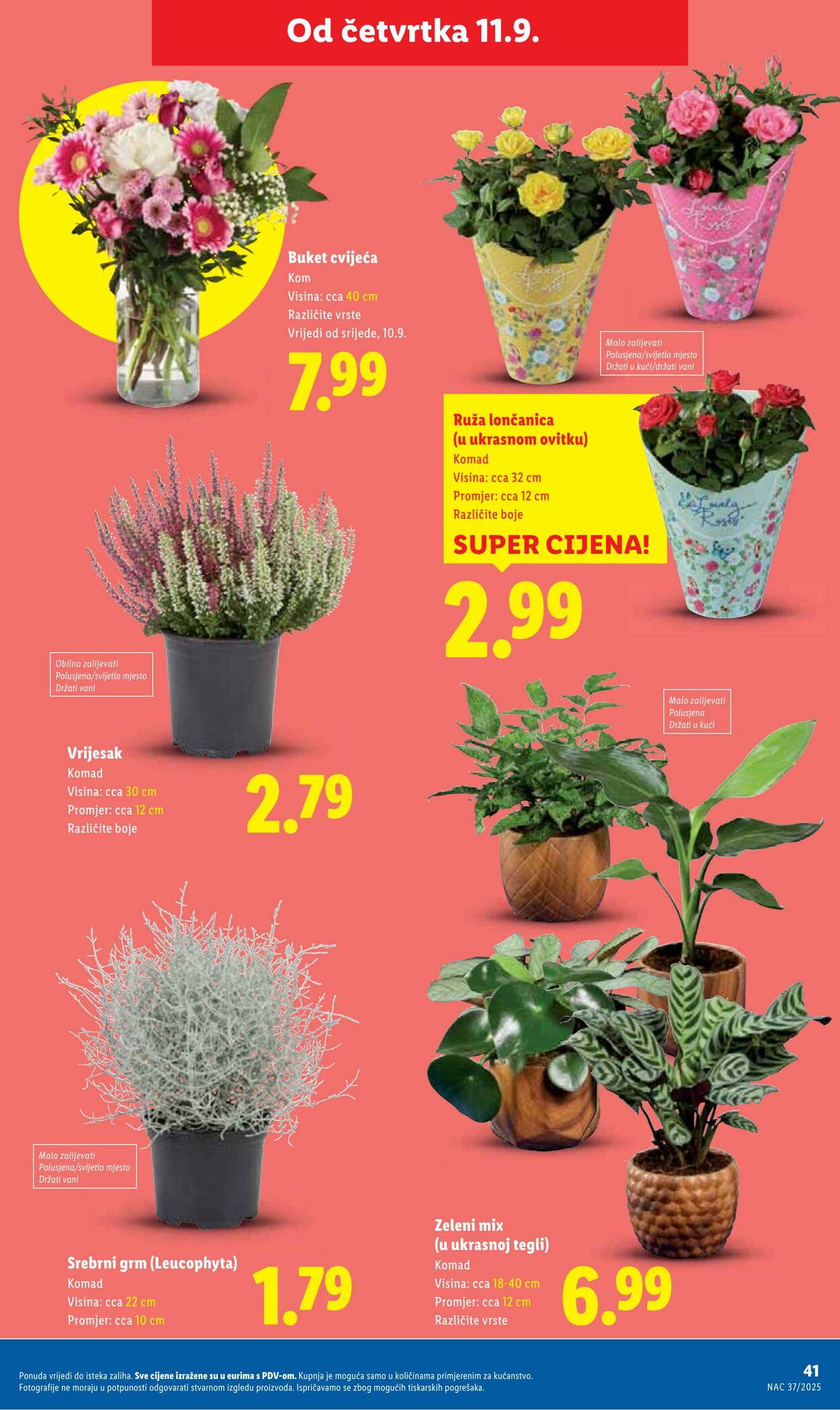 Katalog Lidl 11.09.2025 - 25.09.2025