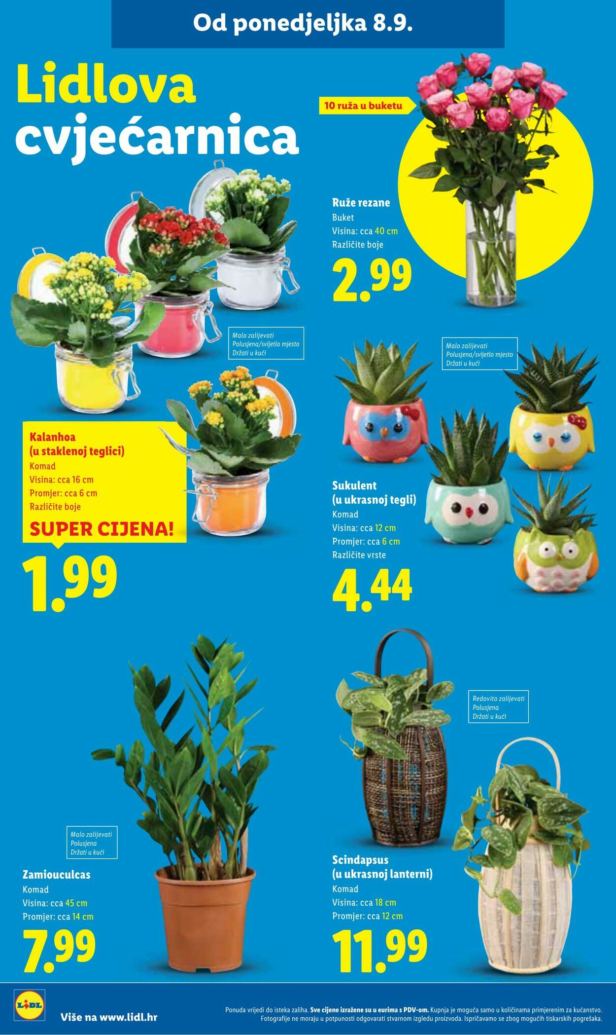 Katalog Lidl 15.09.2025 - 29.09.2025