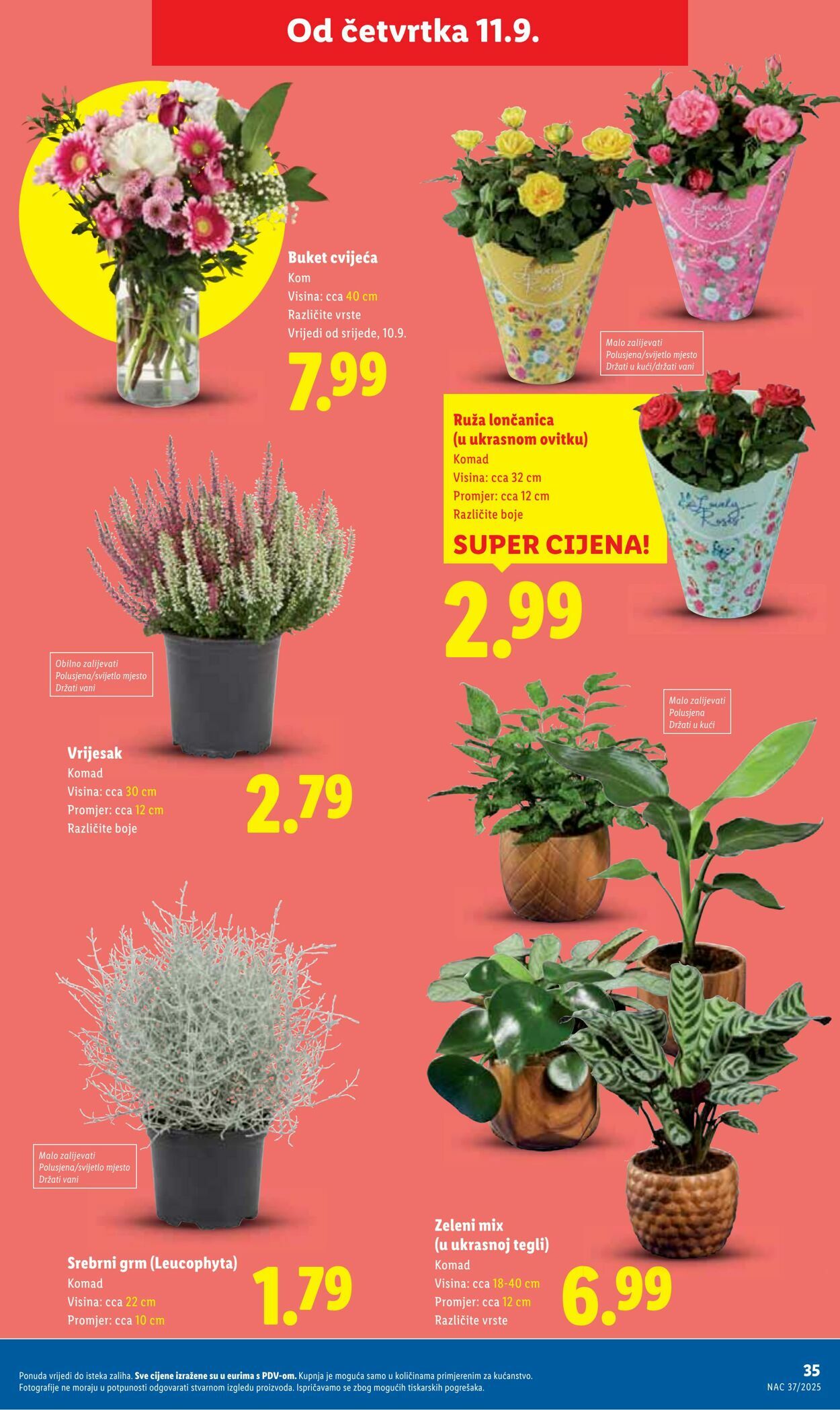 Katalog Lidl 15.09.2025 - 29.09.2025